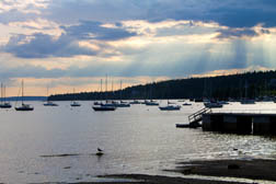 Sailboats